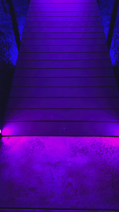 100 Clays Blacklight Shooting Experience - Ammo and guns provided